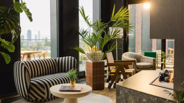 Buntes Sofa und Pflanze vor Fenster